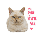 853569356