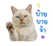 853569359