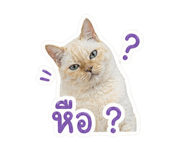 853569363