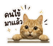 853569543