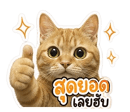 853569548