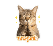 853569805