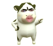 853569954