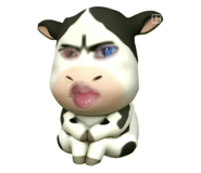 853569955