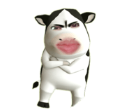853569957
