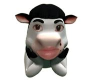 853569958
