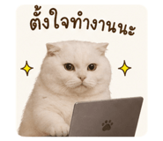 853571116