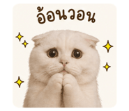 853571122