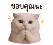 853571126