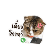 853571598