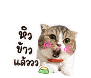 853571599