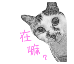 85357246