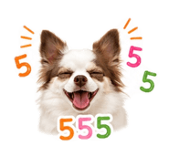 853572577