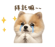 853575714