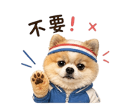 853575724