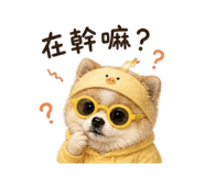 853575729