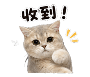 853577030