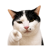 853578127