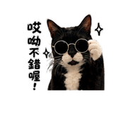 853579564