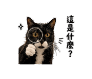 853579582