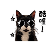 853579584