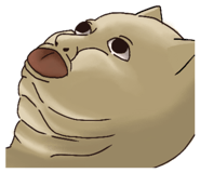 853579908