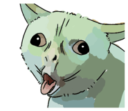 853579914