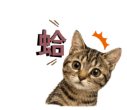 853580189