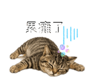 853580192