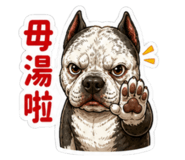 853580405