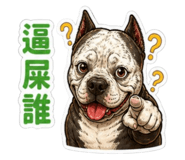 853580423