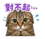 853582130