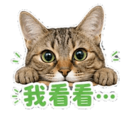 853582133