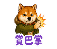 853582871