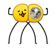 853586417
