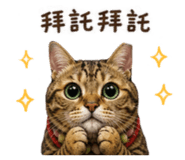 853588454