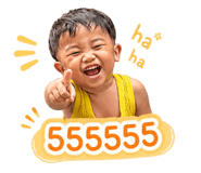 853593131
