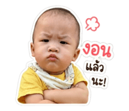 853595313
