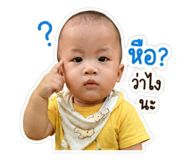 853595314