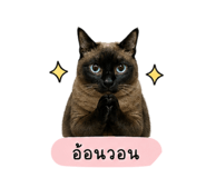 853596218
