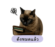 853596219