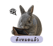 853596222