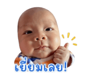 853596254