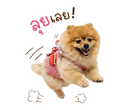 853596307