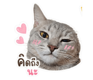 853597000