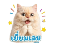853598325