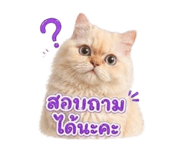 853598327