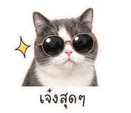 853598365