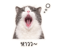 853598369