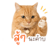 853599134